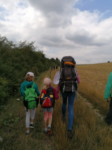 Durch das Hochmoor zur Grünhütte