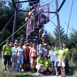 Durch das Hochmoor zur Grünhütte