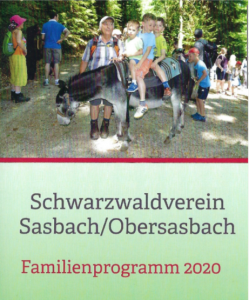 Silvesterlauf in Kappelrodeck