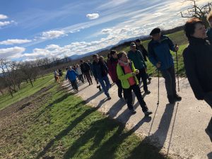Durch das Hochmoor zur Grünhütte