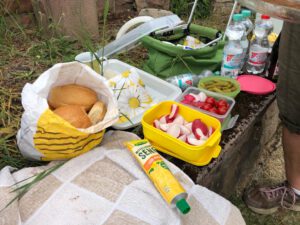 Durch das Hochmoor zur Grünhütte