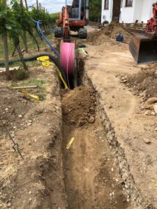 Durch das Hochmoor zur Grünhütte