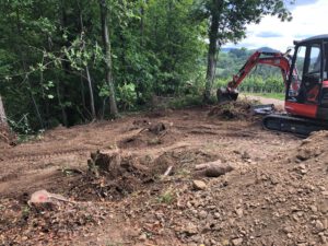 Durch das Hochmoor zur Grünhütte