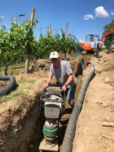 Durch das Hochmoor zur Grünhütte