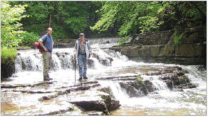 Durch das Hochmoor zur Grünhütte