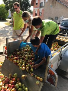 Dreierlei in Willstätt