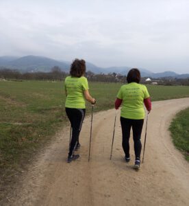 Durch das Hochmoor zur Grünhütte