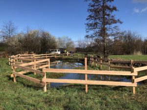 Durch das Hochmoor zur Grünhütte