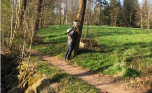 Durch das Hochmoor zur Grünhütte