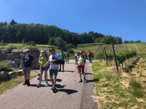 Dreierlei in Willstätt