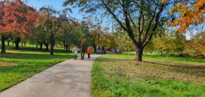 Durch das Hochmoor zur Grünhütte
