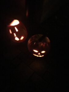 Durch das Hochmoor zur Grünhütte