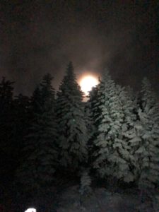 Dreierlei in Willstätt