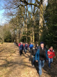 Durch das Hochmoor zur Grünhütte