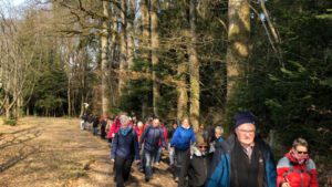 Dreierlei in Willstätt