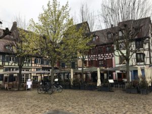 Durch das Hochmoor zur Grünhütte