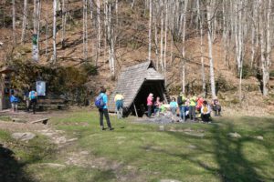 Durch das Hochmoor zur Grünhütte