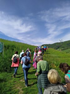 Durch das Hochmoor zur Grünhütte