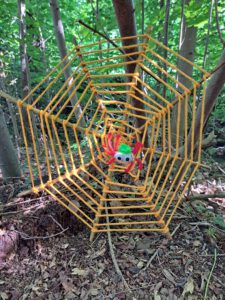 Durch das Hochmoor zur Grünhütte