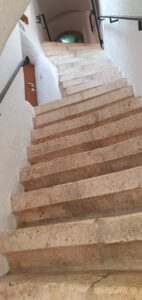 Durch das Hochmoor zur Grünhütte