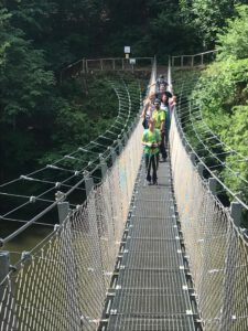 Durch das Hochmoor zur Grünhütte