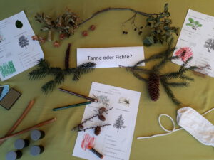 Naturlehrpfad Auenheim