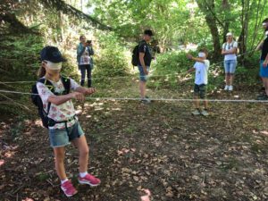 Durch das Hochmoor zur Grünhütte