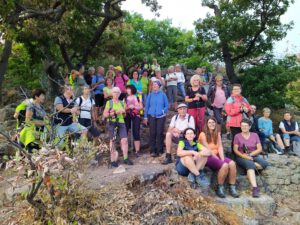 Durch das Hochmoor zur Grünhütte
