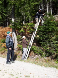 Durch das Hochmoor zur Grünhütte