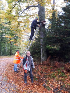 Durch das Hochmoor zur Grünhütte