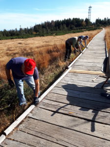 Silvesterlauf in Kappelrodeck