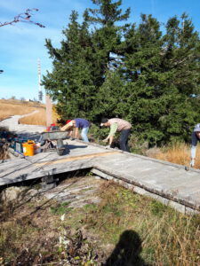 Durch das Hochmoor zur Grünhütte