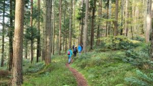 Durch das Hochmoor zur Grünhütte