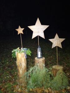 Durch das Hochmoor zur Grünhütte