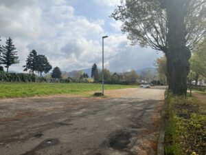 Silvesterlauf in Kappelrodeck