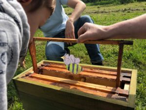 Durch das Hochmoor zur Grünhütte