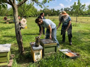 Dreierlei in Willstätt