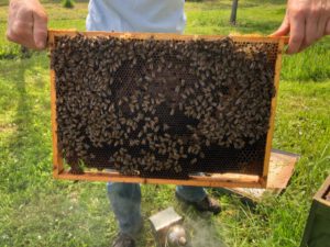 Silvesterlauf in Kappelrodeck