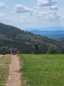 Durch das Hochmoor zur Grünhütte