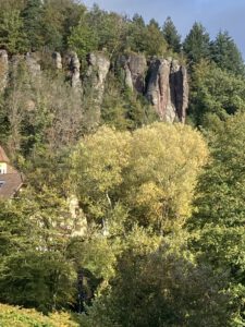 Silvesterlauf in Kappelrodeck