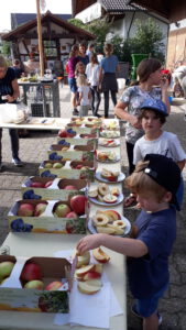 Durch das Hochmoor zur Grünhütte