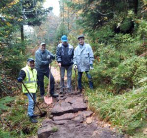 Durch das Hochmoor zur Grünhütte