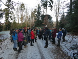 Durch das Hochmoor zur Grünhütte