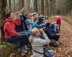 Durch das Hochmoor zur Grünhütte