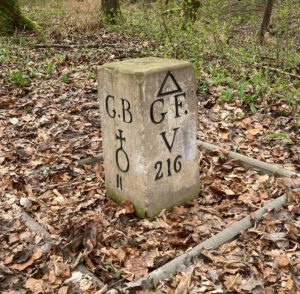 Durch das Hochmoor zur Grünhütte