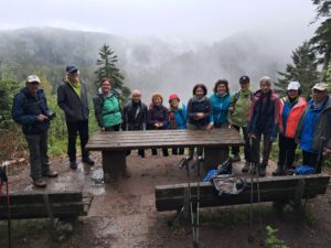 Durch das Hochmoor zur Grünhütte