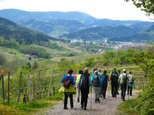Durch das Hochmoor zur Grünhütte