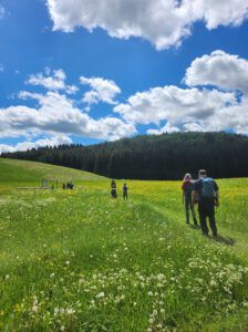 Durch das Hochmoor zur Grünhütte