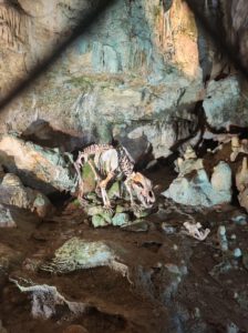 Durch das Hochmoor zur Grünhütte