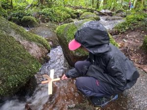 Durch das Hochmoor zur Grünhütte